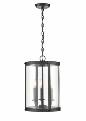 Pendant Fixtures Aydenn Pendant - Matte Black - Clear Glass - 11.75in. Diameter - E12 Candelabra Base