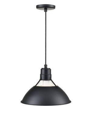 R Series Glass Cone Pendant - Satin Black - 13in. Diameter - E26 Medium Base