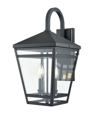 Seager Outdoor Wall Sconce - Textured Black - Clear Glass - 12.5in. Extension - E12 Candelabra Base