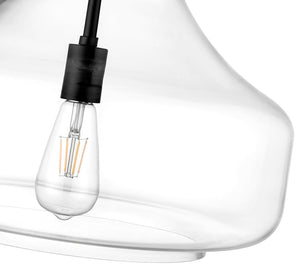 Pendant Fixtures Madelynn Pendant - Matte Black - Clear Glass - 16in. Diameter - E26 Medium Base