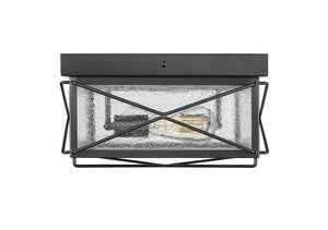 Flush Mounts Robinson Outdoor Flush Mount Fixture - Powder Coated Black - Clear Seeded Glass - 13.5in. Diameter - E26 Medium Base